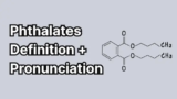 What are Phthalates? Pronunciation and Definition
